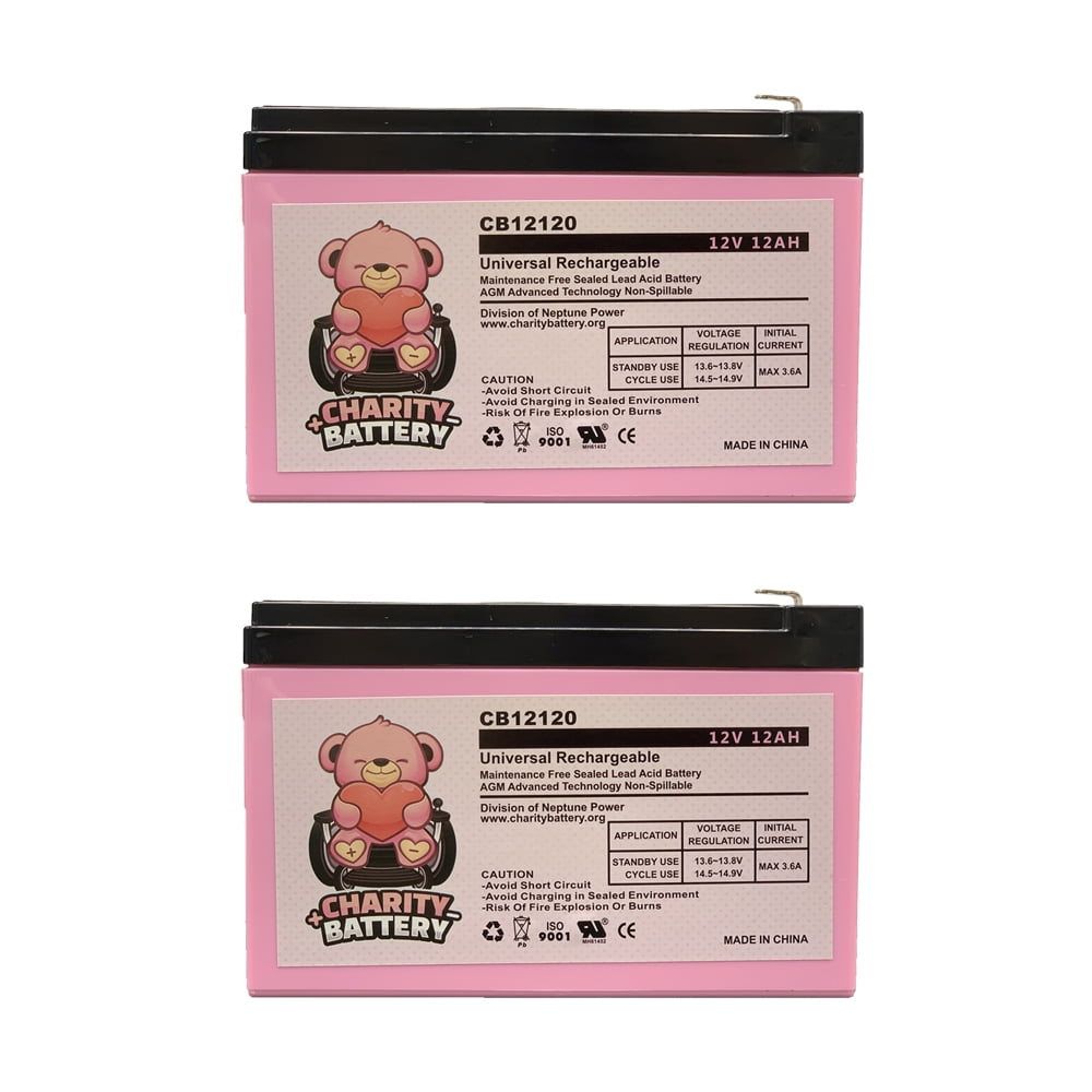 E Scooter 24v System 12v 12ah Replacement Electric Scooter Battery By Charity Battery 2 Pack Walmart Com