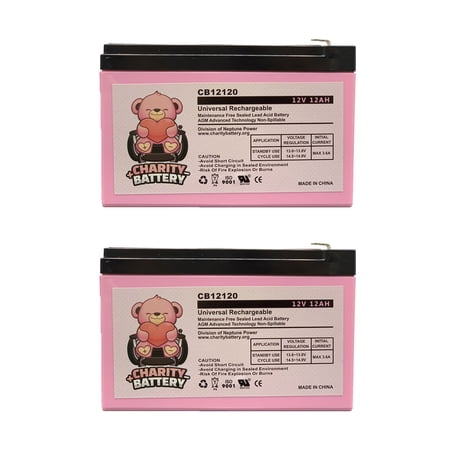 APC RBC4 12V 12Ah Replacement UPS battery by Charity Battery - 2 pack