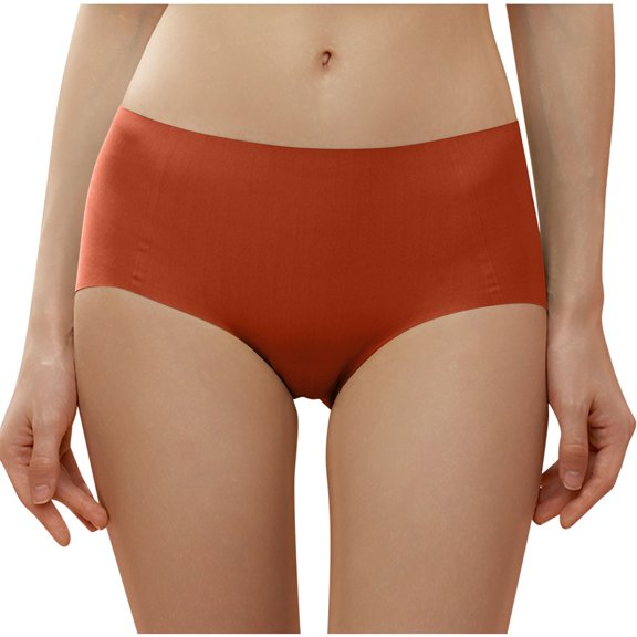 Abomasnow Seamless Underwear for Womens Mid-Rise Lightly Modal Comfort Breathable Workout Panties Smoothing No Show Briefs on Clearance 2024