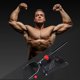 thumbnail image 4 of Forearm Support Adjustable Hand Grip Strengths Exerciser Wrist Trainer Arm Wrist Muscle Training Fitness Equipment New, 4 of 5