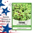 thumbnail image 5 of Winter Thyme Seeds, 5 of 7