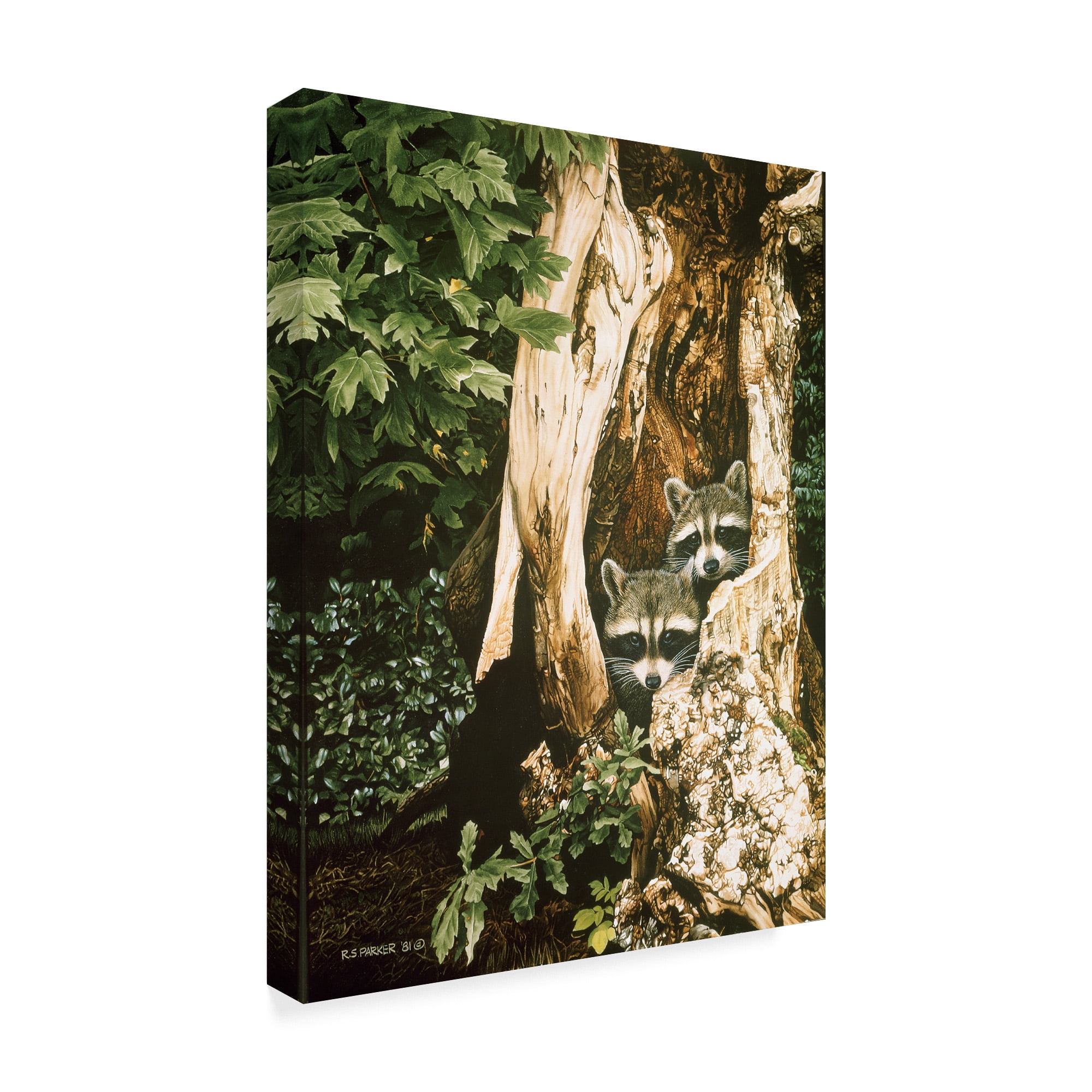 Trademark Fine Art 'Raccoon Pair' Canvas Art by Ron Parker
