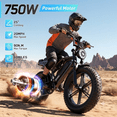 thumbnail image 5 of TST Electric Bike for Adults, 750W Motor, 48V/15AH Battery, 20x4" Fat Tire, Tested to UL 2849 Standard by SGS, 5 of 8