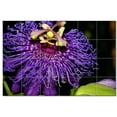thumbnail image 1 of Flower Photo Ceramic Tile Mural Kitchen Backsplash Bathroom Shower, 404913-S64, 1 of 3