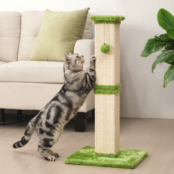 Heynemo 32-Inch Cat Scratching Post with Hanging Ball Toy, Tall Sisal Scratch Post for Indoor Cats, Cat Scratcher for Kittens & Large Cats, Green