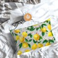 thumbnail image 5 of Honeii Lemon1 Print Pillow Cases,Plush Throw Pillow Covers,Decorative Pillowcase for Sofa, Couch, Living Room-20"x30", 5 of 6