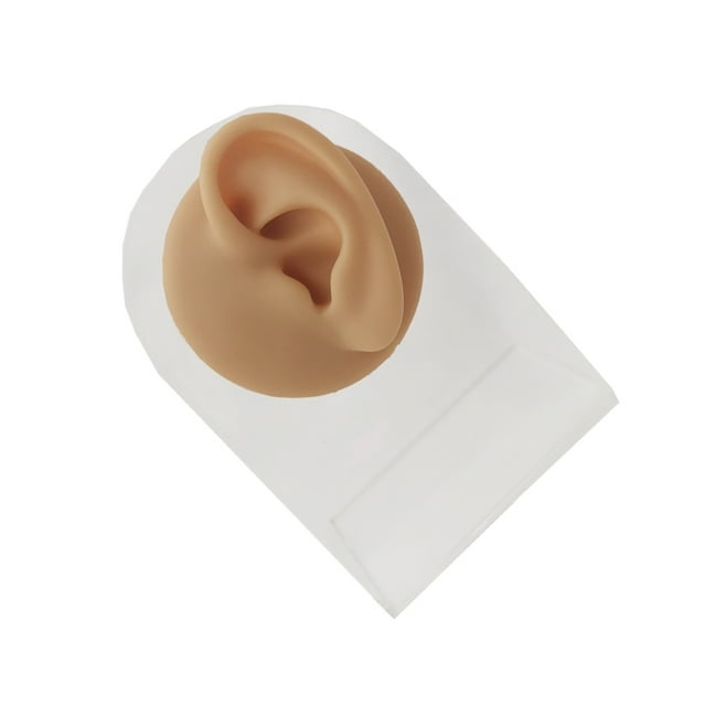 Youkk Silicone Ear Model Simulation Tool Ear Display Three-Dimensional for Teaching Instruction Left Ear/Rack