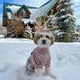 thumbnail image 4 of Jersey Fitwarm para perro, cuello alto, tejido térmico, talla M, 4 of 7