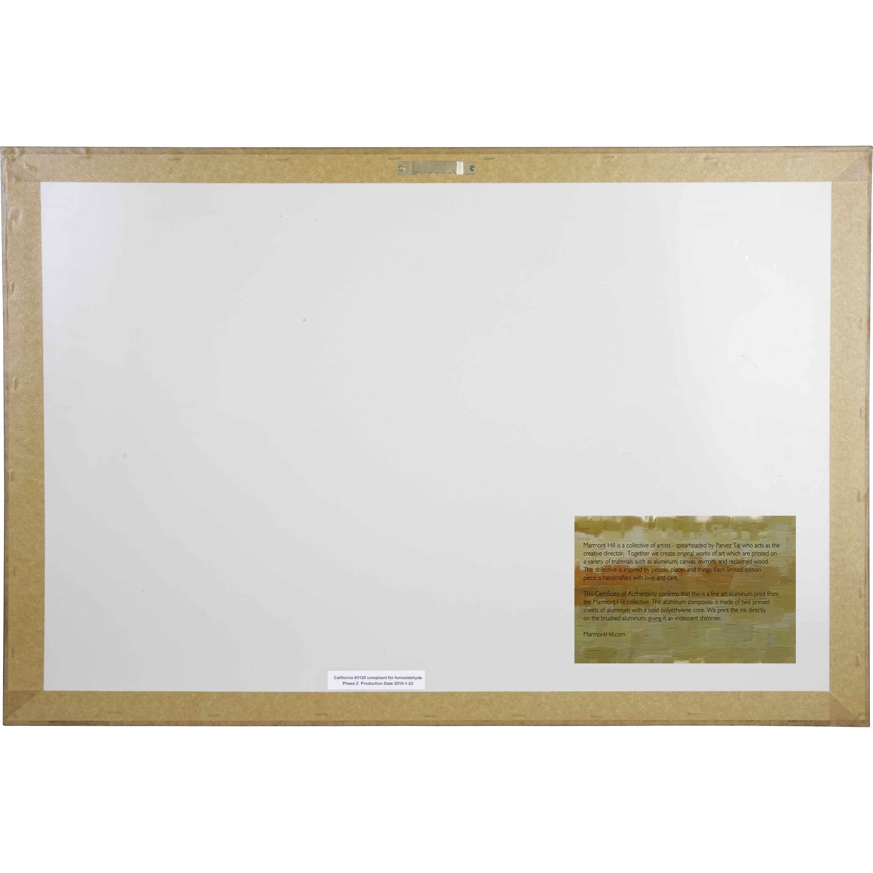 Parvez Taj Printed Abstract Maps Art Prints