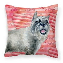 Carolines Treasures BB9749PW1818 Schnauzer Love Fabric Decorative Pillow 18H x18W multicolor