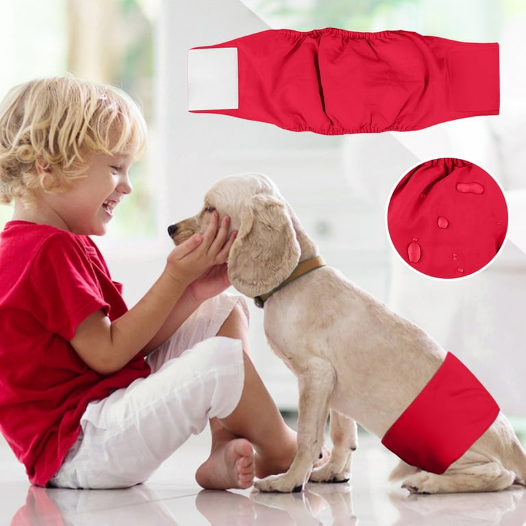 Extra large dog diapers walmart sale
