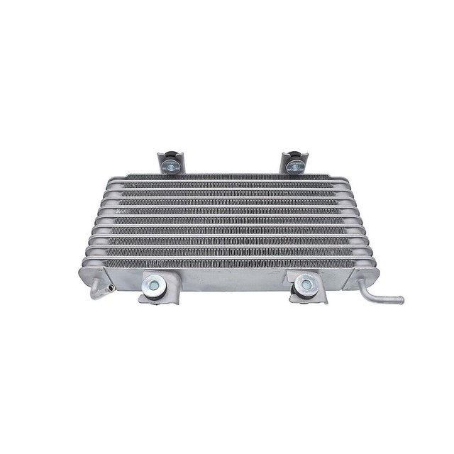 Conjunto T/M 21606-JD31A compatible con NV200 2012- NV200 Taxi 2013- M20X Van MR20DE plateado
