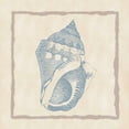 thumbnail image 2 of Murdock, Ramona 20x20 Black Ornate Wood Framed with Double Matting Museum Art Print Titled - Shell II, 2 of 4