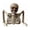 A, variant on Half Body Skeleton Tabletop Prop, Plastic Skull Torso, Halloween Mantel Display Ornament 9.45x8.66in