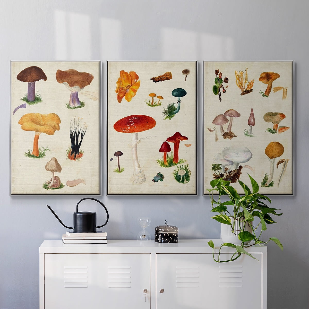 Mushroom Species VI - Framed Premium Gallery Wrapped Canvas L Frame 3 Piece Set - Ready to Hang