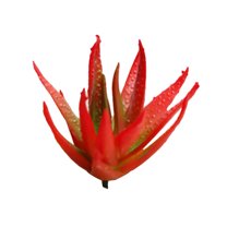 1 Pcs Mixed Artificial Succulent Flowers Plants Decor Stems Faux Succulents Plants Bulk Assorted Picks for Home Decor Indoor Wall Garden DIY Home Office Garden Bonsai Decor