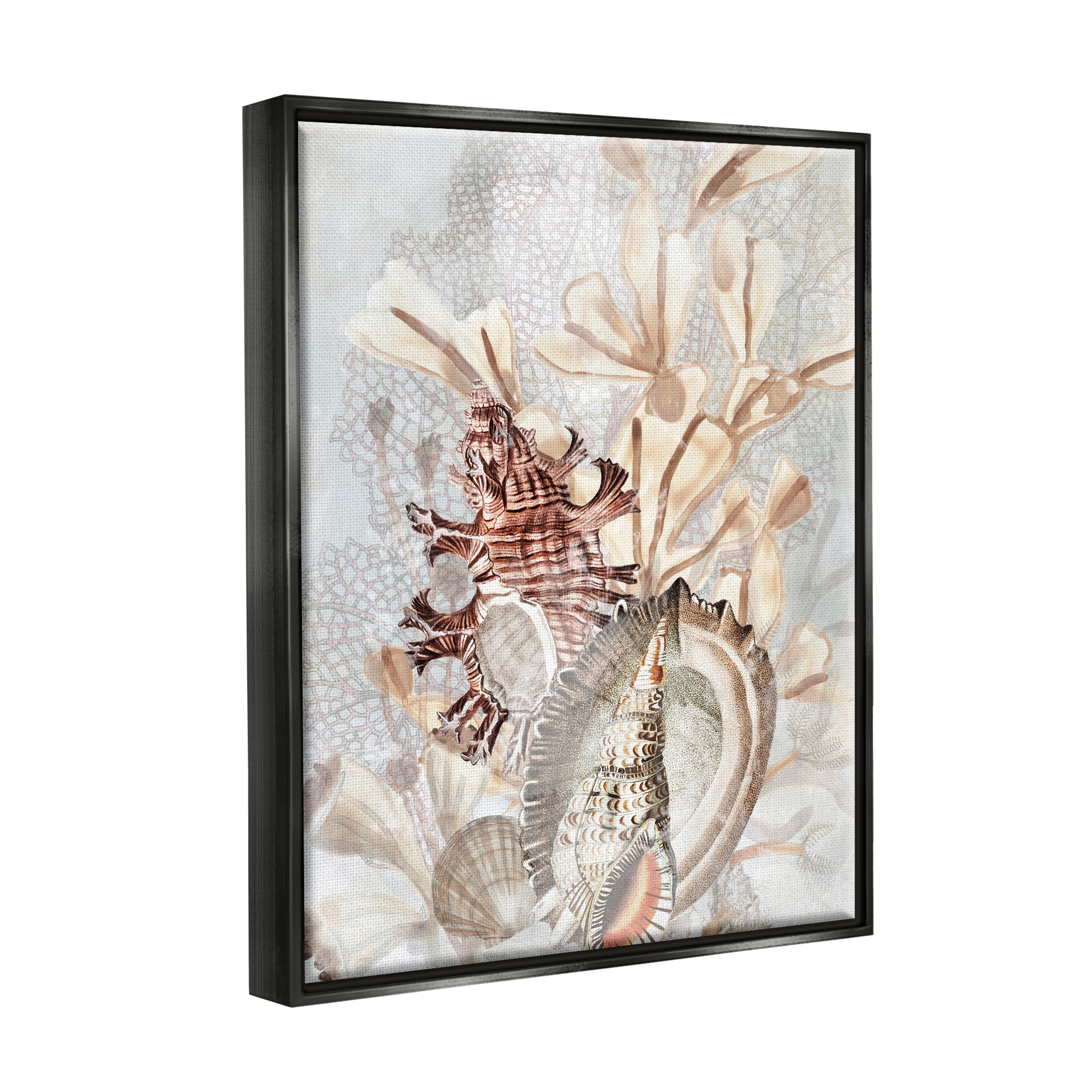 Stupell Industries Beige Mixed Seashells Animals & Insects Painting Black Floater Framed Canvas Art Print Wall Art, 25 x 31