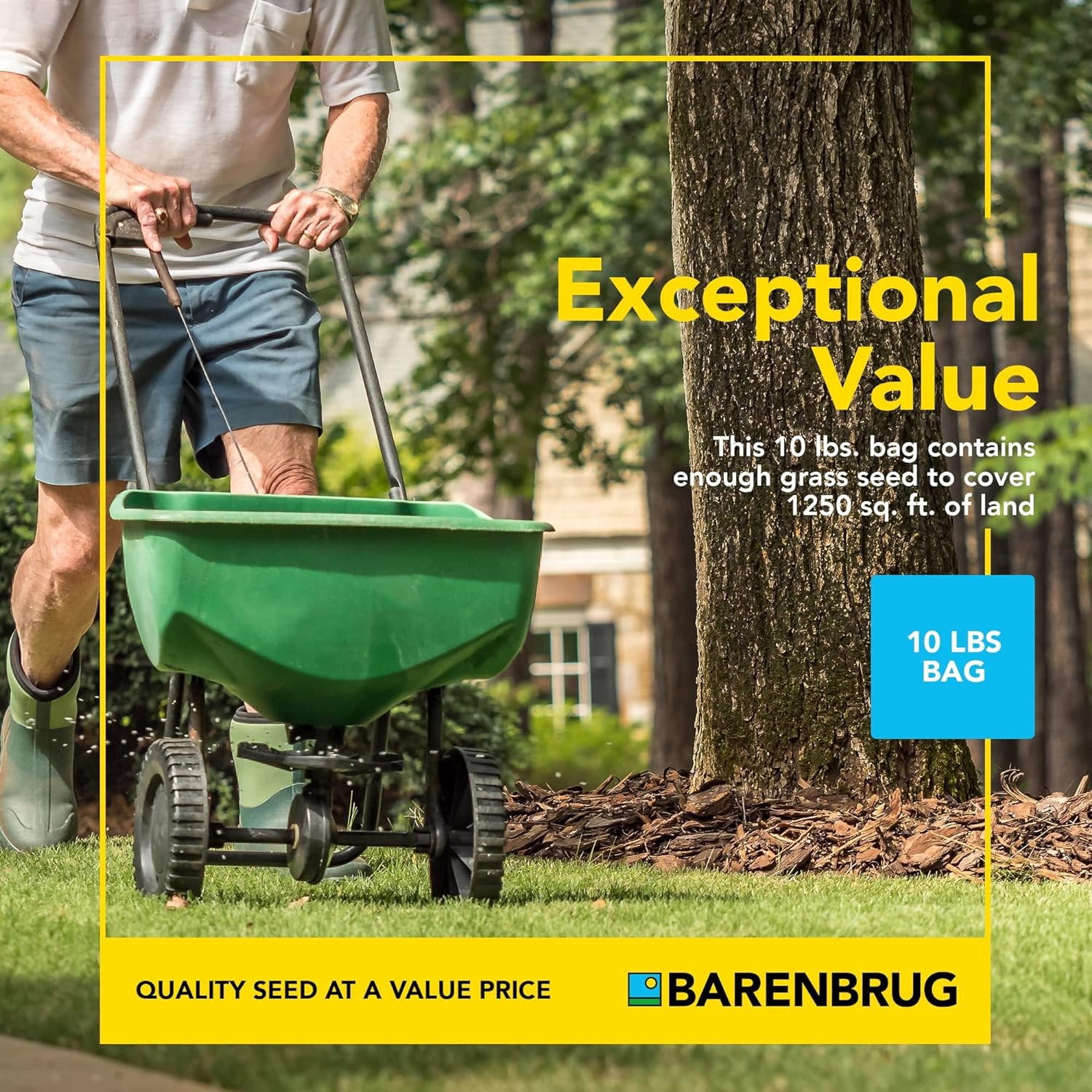 Barenbrug Wonderlawn Quicklawn Grass Seed Mix for Lawn Care and Landscaping, 3 lbs. Bag