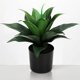 thumbnail image 1 of Planta artificial de ágave en maceta, planta de computadora falsa en maceta, plantas artificiales de vegetación realista para interiores, oficina, 1 of 4