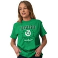 thumbnail image 5 of Tennessee TN Iris State Flower Flag Women's Graphic T Shirt Tees Brisco Brands M, 5 of 6