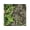 Mossy Oak Obsession NWTF, variant on NewLife By GelPro Camo Anti-Fatigue Comfort Utility Floor Mat, 20x48, Mossy Oak Obsession NWTF