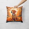 thumbnail image 4 of Carolines Treasures DAC1077PW1818 18 x 18 in. Unisex Vizsla Fall Fabric Decorative Pillow, 4 of 5