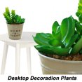 thumbnail image 3 of Se utiliza para decorar su hogar u oficina. Plantas en macetas suculentas artificiales realistas., 3 of 5