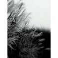 thumbnail image 2 of Dag, Inc. 15x18 White Modern Wood Framed Museum Art Print Titled - Photography/Landscape 182, 2 of 4