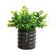 thumbnail image 1 of Flor de simulación de cerámica en maceta, decoración interior del hogar, planta verde artificial de escritorio, bonsái, flor falsa, 1 of 5