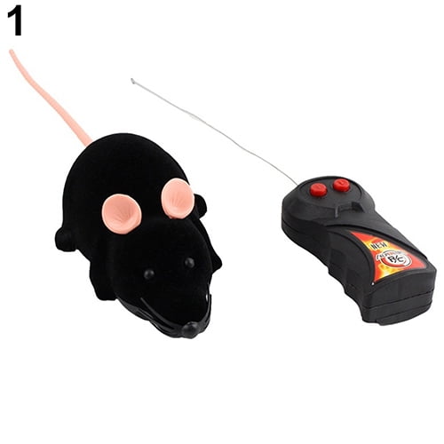 Realistic remote store control rat