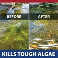thumbnail image 3 of The Pond Guy InstaFix Algae Control, Outdoor Water Garden, Fountain & Birdbath Algae Solution, EPA Registered Liquid Algaecide, Control Green Water & String Algae, Bird, Fish & Pet Safe, 1 Gallon, 3 of 9