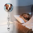 thumbnail image 4 of Personalized Wall Clock Non-Ticking Silent Clocks Battery Operated Round Clocks Decorative for Bathroom,Office-Oil Painting Of The Head Shot Of Jack Russell Terrier(10inch), 4 of 4