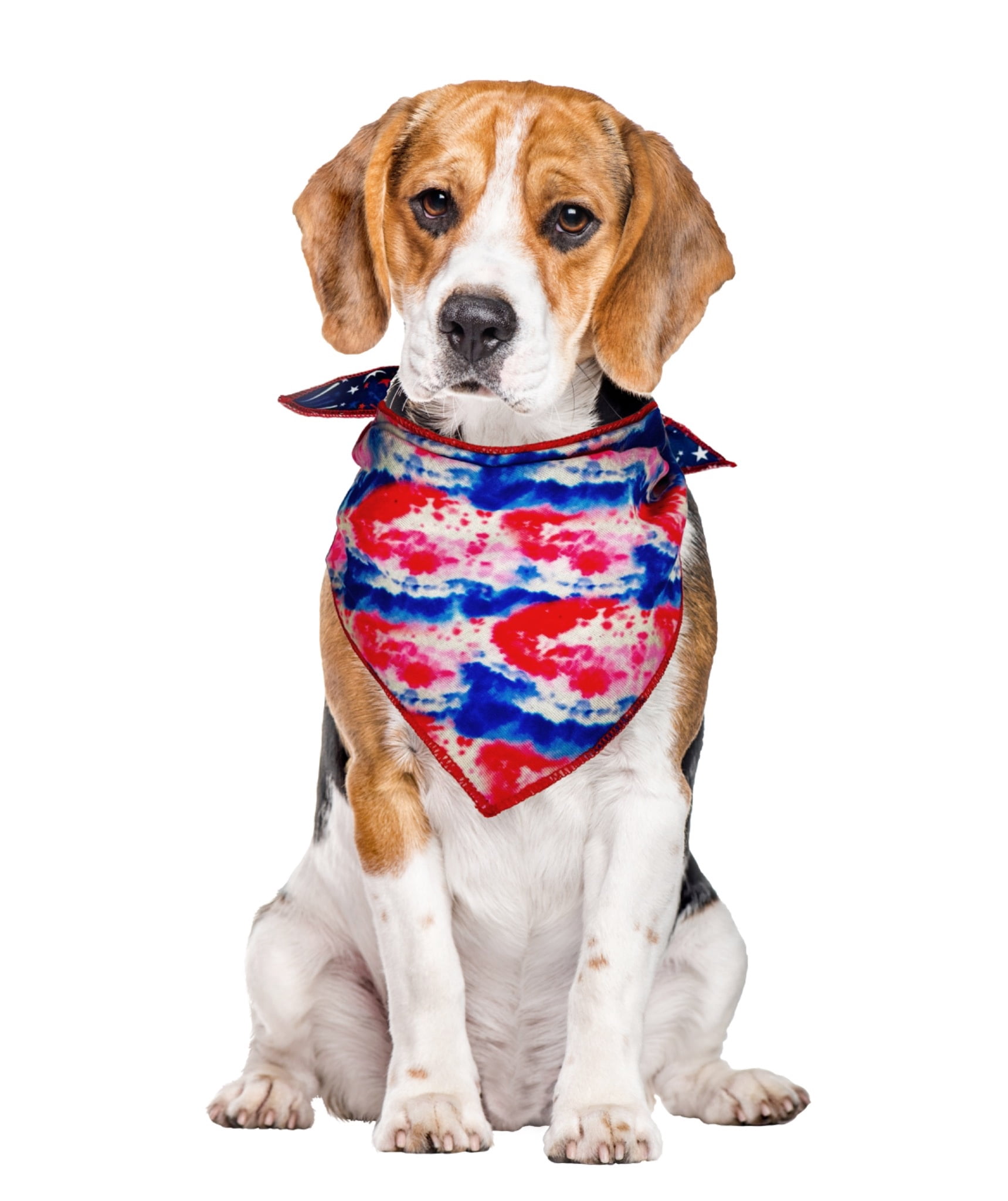 Vibrant Life 4th of July Reversible Pet Bandana, Fireworks/Tie-Dye, Medium/Large
