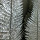 thumbnail image 4 of Hojas De Brillo De Simulación De Navidad, 6 Uds., Decoración De Navidad, Pluma De Plástico De Simulación Para Vacaciones, Bodas Y Fiestas Inevent HA045229-02, 4 of 6