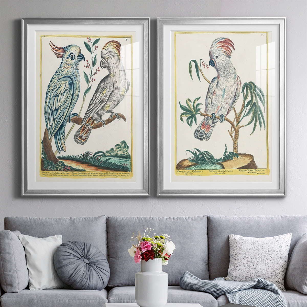 Wexford Home Pastel Birds I Premium Framed Print, 30.5" x 42.5" - Ready to Hang, Silver (Set of 2)