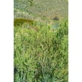 thumbnail image 3 of Popcorn 11x14 Black Modern Framed Museum Art Print Titled - Kartchner Cavern Foothills, 3 of 5