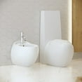 thumbnail image 6 of Plaisir Wall-Hung Bidet, 6 of 12