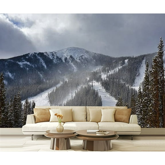 Peel and Stick Wallpaper winter park ski area skiings Modern Art Wall Mural Decor Self Adhesive and Removable 69in x 98in