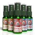 thumbnail image 1 of Spray ambientador Blunteffects 100% concentrado para coche y hogar, 1 of 5