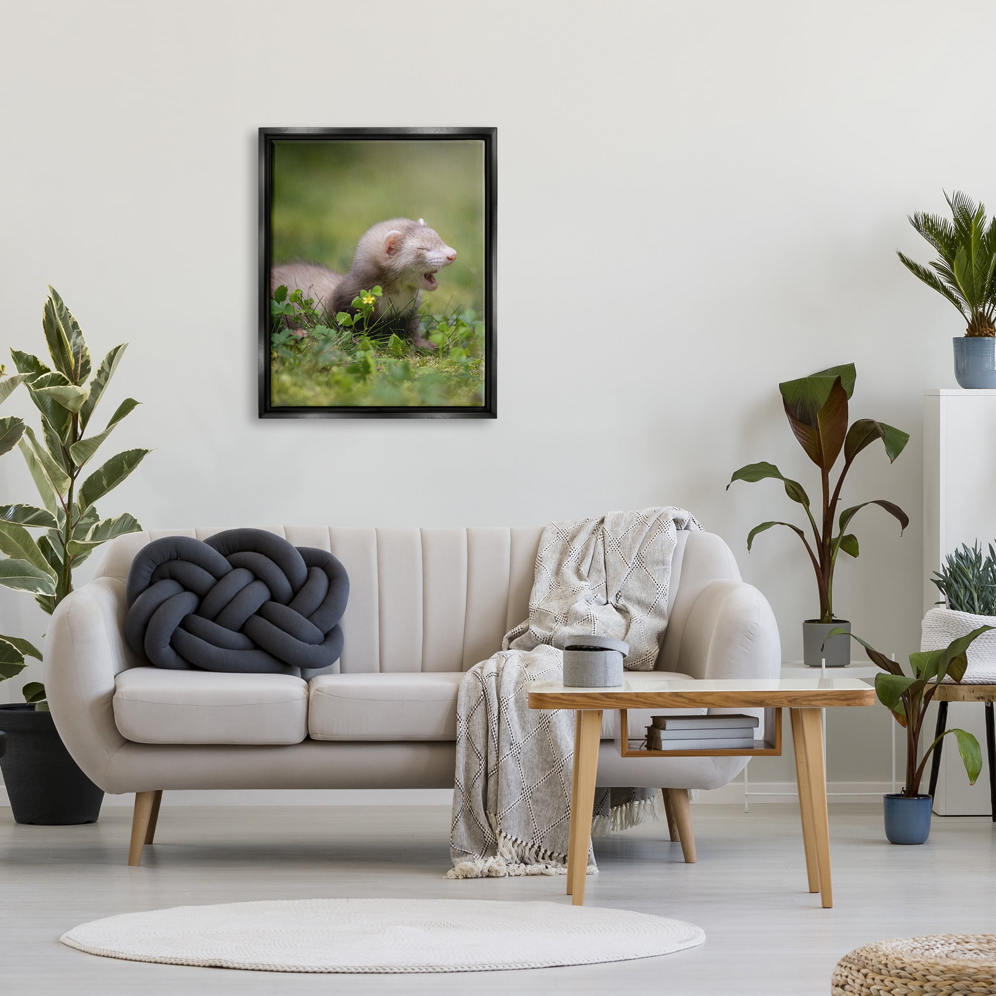 Stupell Industries Baby Ferret in Grass Animals & Insects Photography Black Floater Framed Canvas Art Print Wall Art, 25 x 31