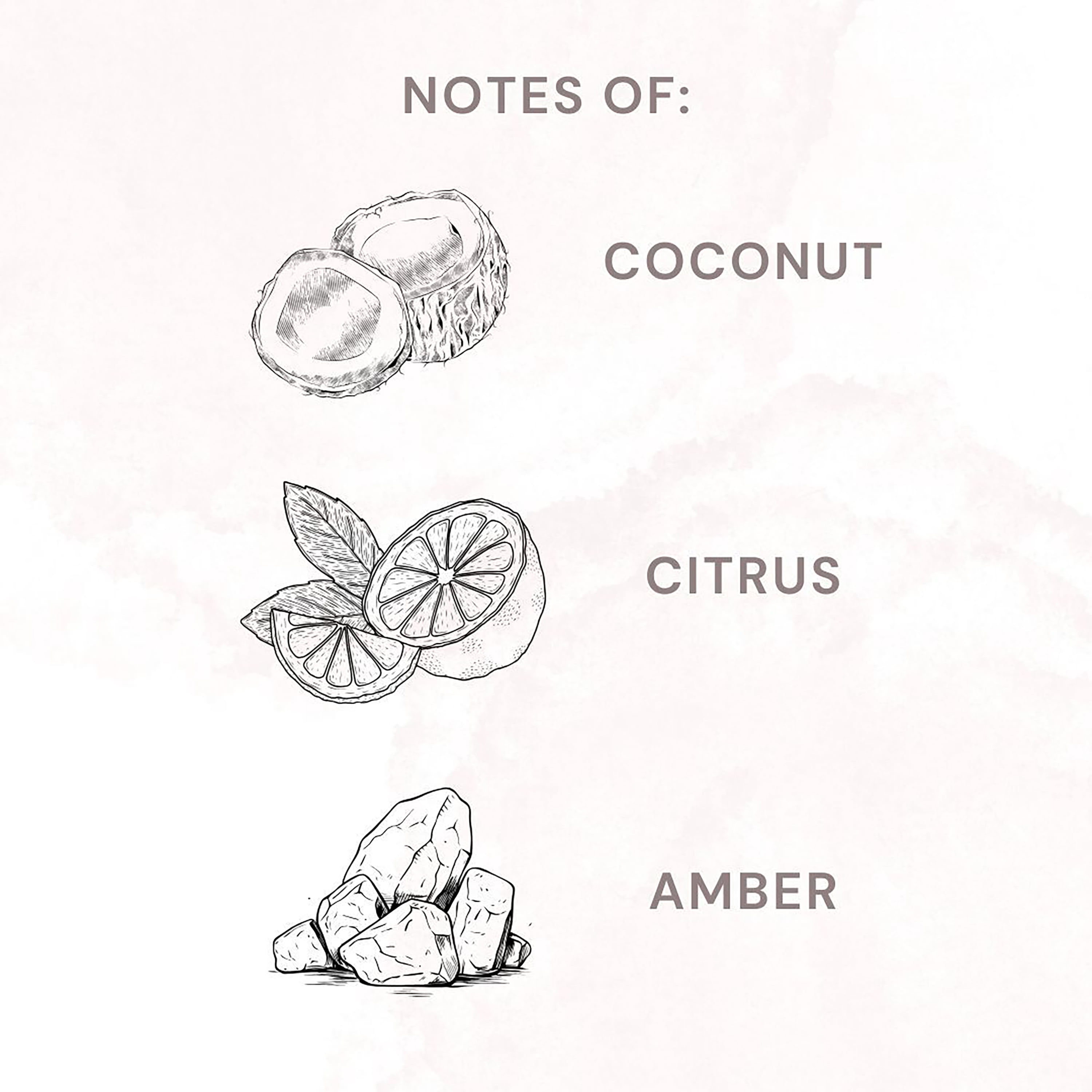 Allswell Calm (Coconut + Citrus + Amber) Scented Reed Diffuser 3 Fl Oz (90mL) With 8 Synthetic Reeds.
