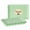 Green, variant on 6 Pack Clear Plastic Serving Trays for Party, 9 x 13 Inch - Heavy Duty Plastic Trays for Food - Rectangular Party Serving Trays and Platters - Clear Disposable Trays