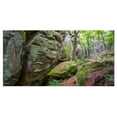 thumbnail image 2 of Wild Deep Moss Forest Ukraine - Impression sur Toile Paysage, 2 of 3