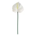 thumbnail image 2 of 26" Real Touch Anthuriums, Plant Artificial Tropical Flower with Long Stem Faux Floral Arrangement for DIY Vase Table Centerpiece Home Office Wedding Decor, 2 of 8