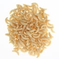 thumbnail image 1 of Earthworm Bait Lifelike Maggots Soft Lure Pesca Aparejos Pesca (amarillo Claro), 1 of 7
