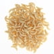 thumbnail image 1 of Earthworm Bait Lifelike Maggots Soft Lure Pesca Aparejos Pesca (amarillo Claro), 1 of 7