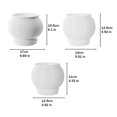 thumbnail image 6 of mdesiwst Self Watering Pot for Indoor Plants Small Plastic Flower Plant Pot with Wick Rope And Reservoir for African Violet Spider Plant Orchid, 6 of 8
