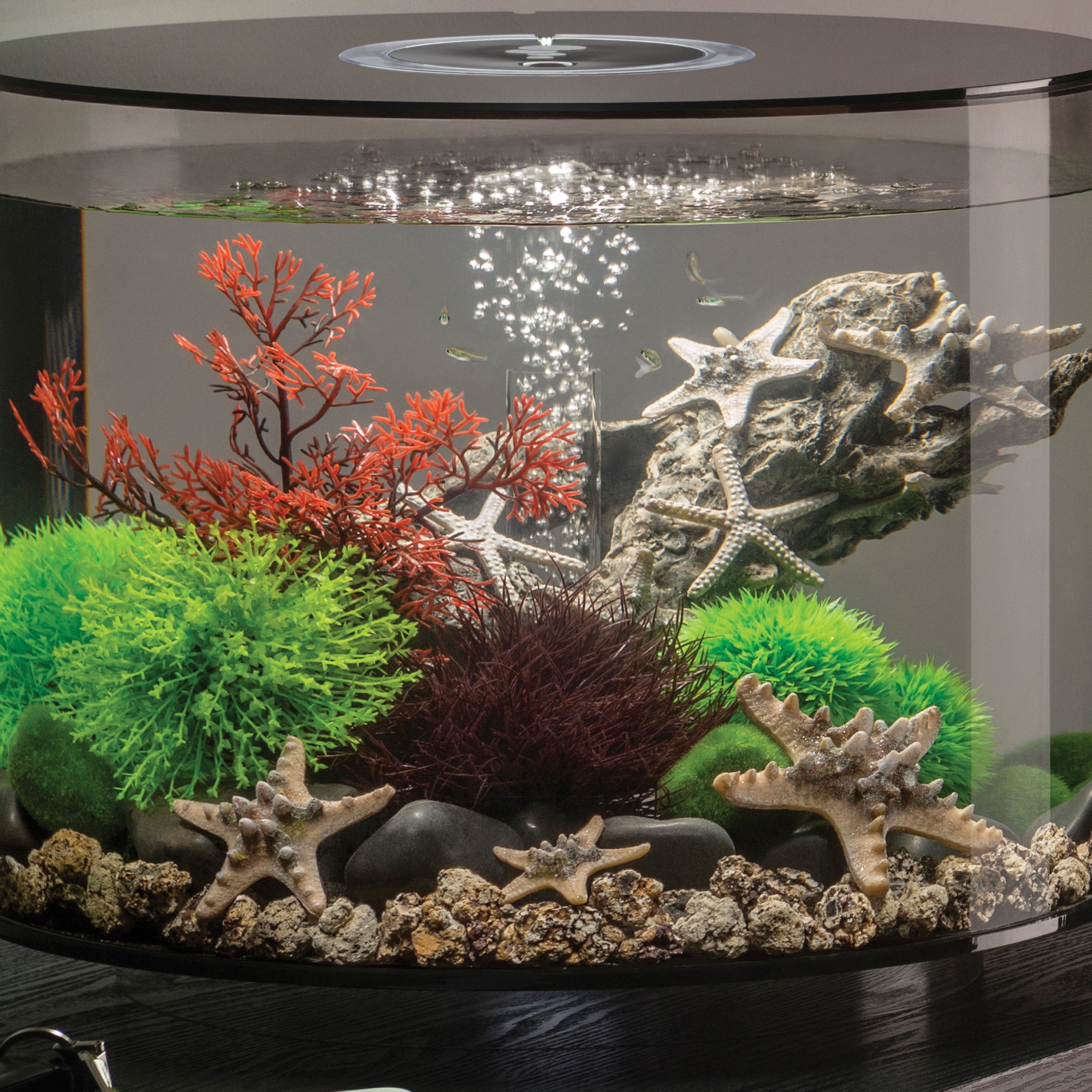 biOrb Aquatic Topiary Ball Set - Aquarium Plant Decoration