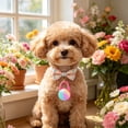 thumbnail image 5 of Sktrjpolfis Rechargeable LED Pet Collar Light, Clip-On Safety Pendant with Multi-Color Modes for Dogs Cats Night Walking, 1-Pack, 5 of 5