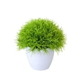 thumbnail image 1 of Miniature Bonsai Tree for Home Desk and Living Room Interior, 1 of 5